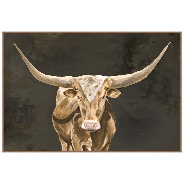 Longhorn Look I Framed