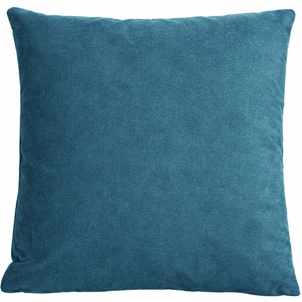 Throw Pillow, Dragonfly